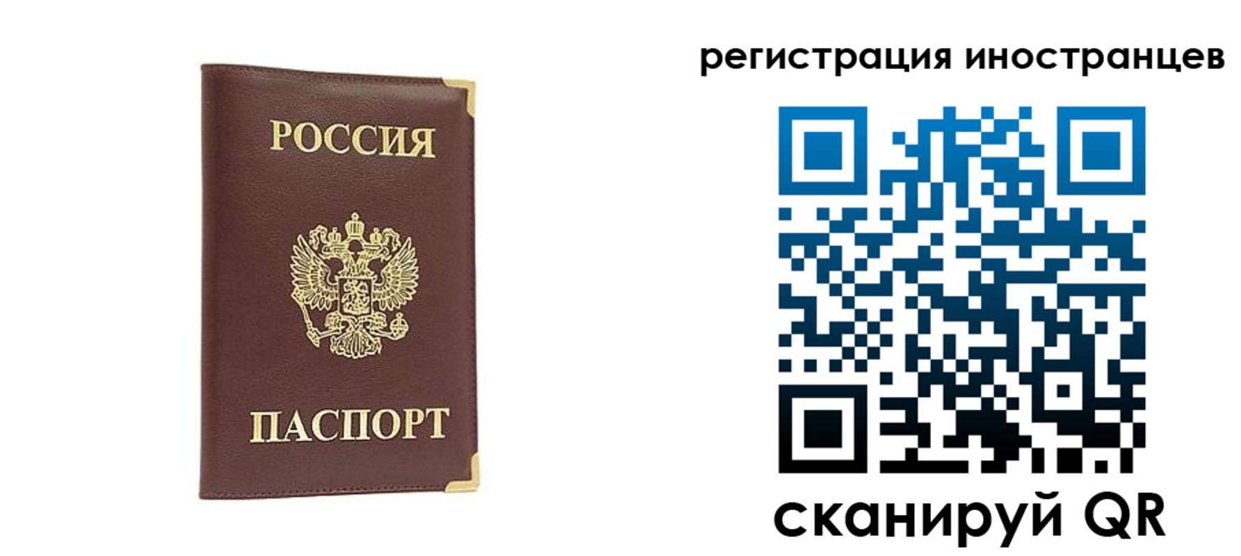 регистрация в Новосибирской области
